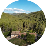 foto casa y fondo de bosque