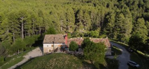 foto casa y fondo de bosque